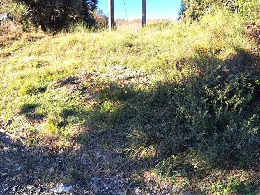 Immagine 9 di Appartamento in vendita  in Località Serrazzano, N. Snc a Pomarance