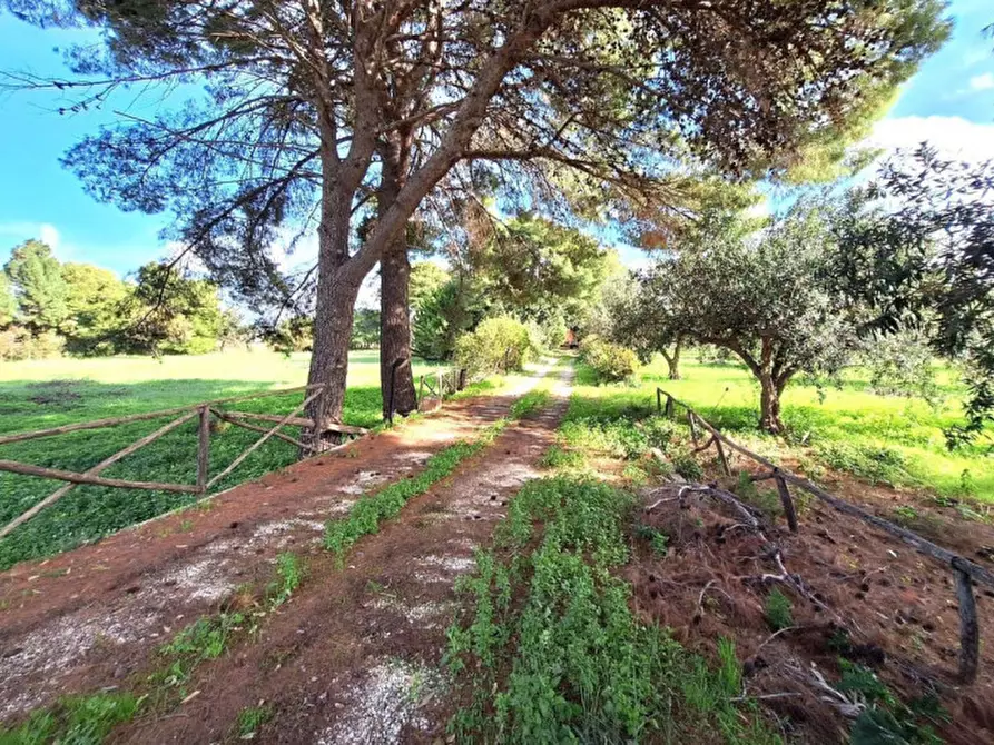 Immagine 11 di Palazzo in vendita  in Via delle Mandorle, N. 23 a Valderice