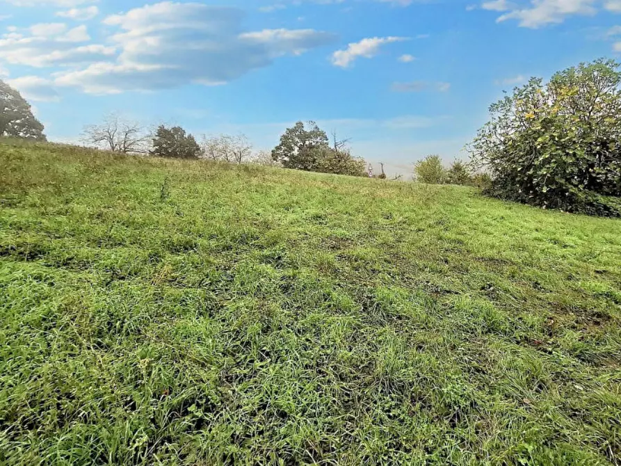 Immagine 4 di Terreno in vendita  in Via Mazzucchi, N. Snc a Coli