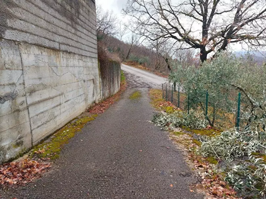 Immagine 15 di Appartamento in vendita  in Capradosso, N. Snc a Petrella Salto