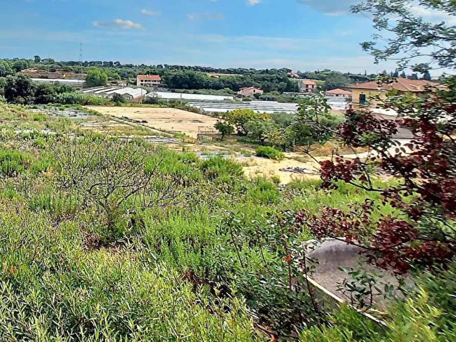Immagine 3 di Terreno in vendita  in Strada Morteo, N. snc a Albenga