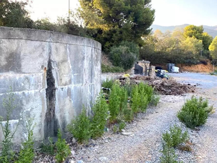 Immagine 5 di Terreno in vendita  in Strada Morteo, N. snc a Albenga