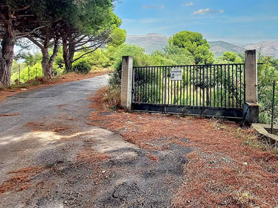 Immagine 7 di Terreno in vendita  in Strada Morteo, N. snc a Albenga