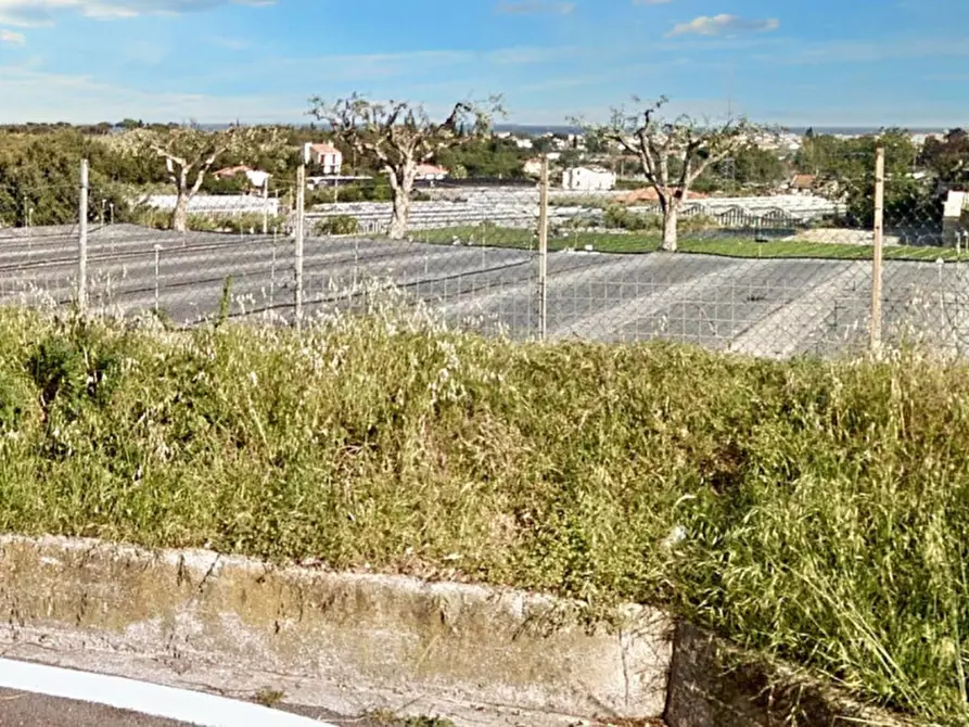 Immagine 8 di Terreno in vendita  in Strada Morteo, N. snc a Albenga