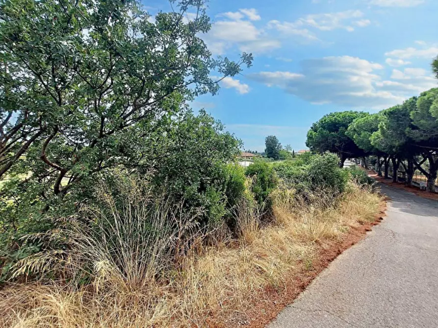 Immagine 9 di Terreno in vendita  in Strada Morteo, N. snc a Albenga