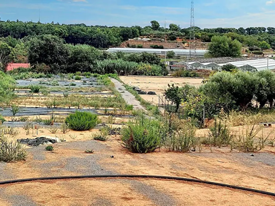 Immagine 11 di Terreno in vendita  in Strada Morteo, N. snc a Albenga