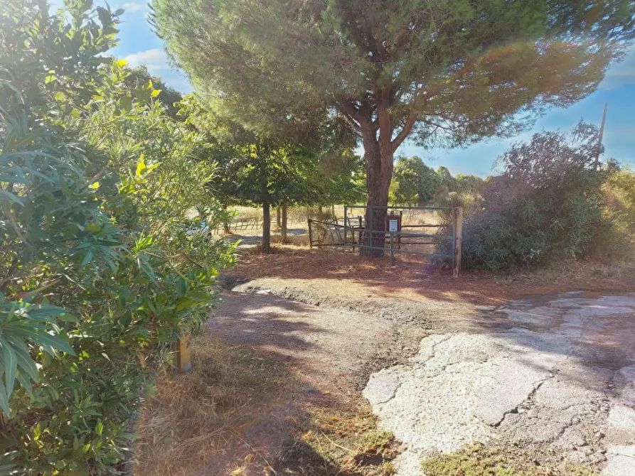 Immagine 2 di Agriturismo in vendita  in Via della Marmotta, N. snc a Anguillara Sabazia