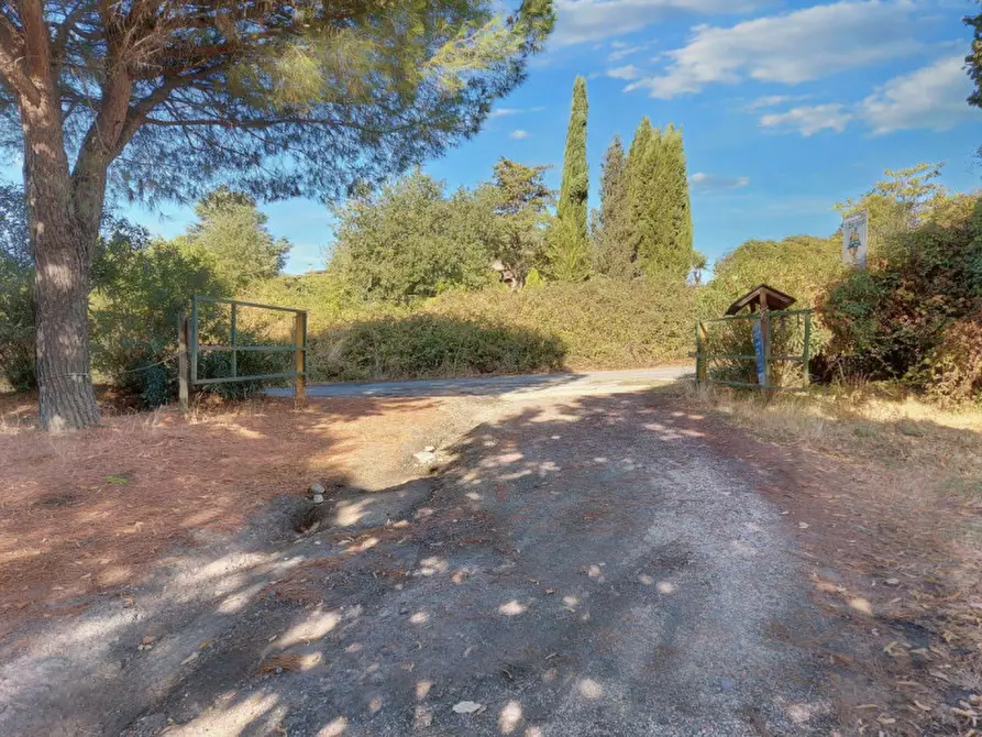 Immagine 3 di Agriturismo in vendita  in Via della Marmotta, N. snc a Anguillara Sabazia