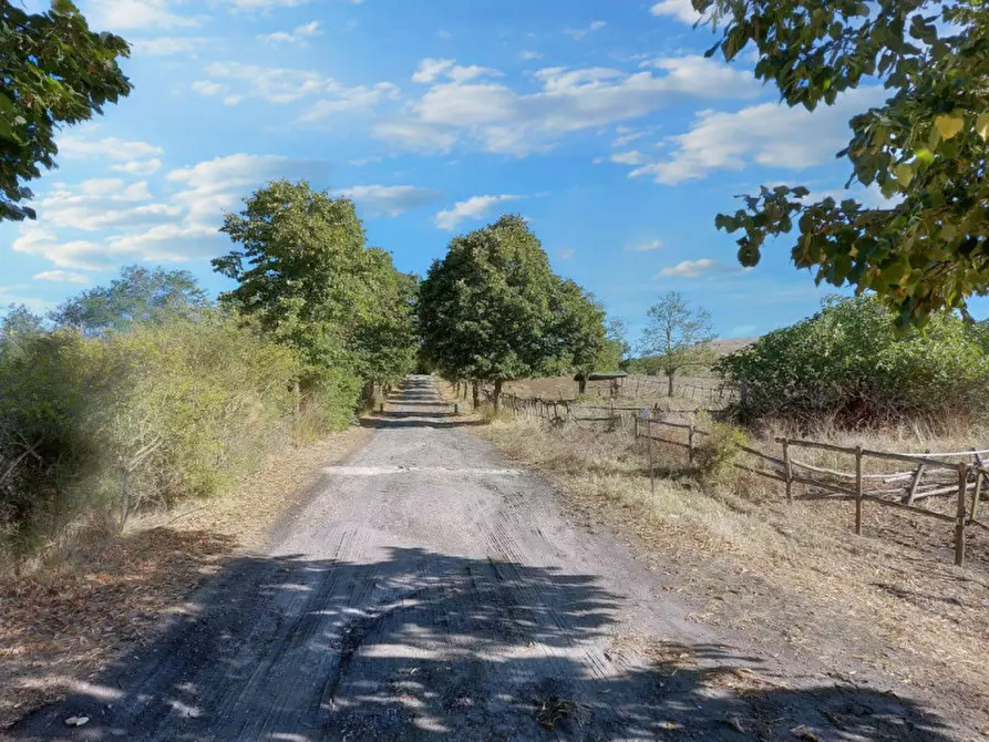 Immagine 4 di Agriturismo in vendita  in Via della Marmotta, N. snc a Anguillara Sabazia