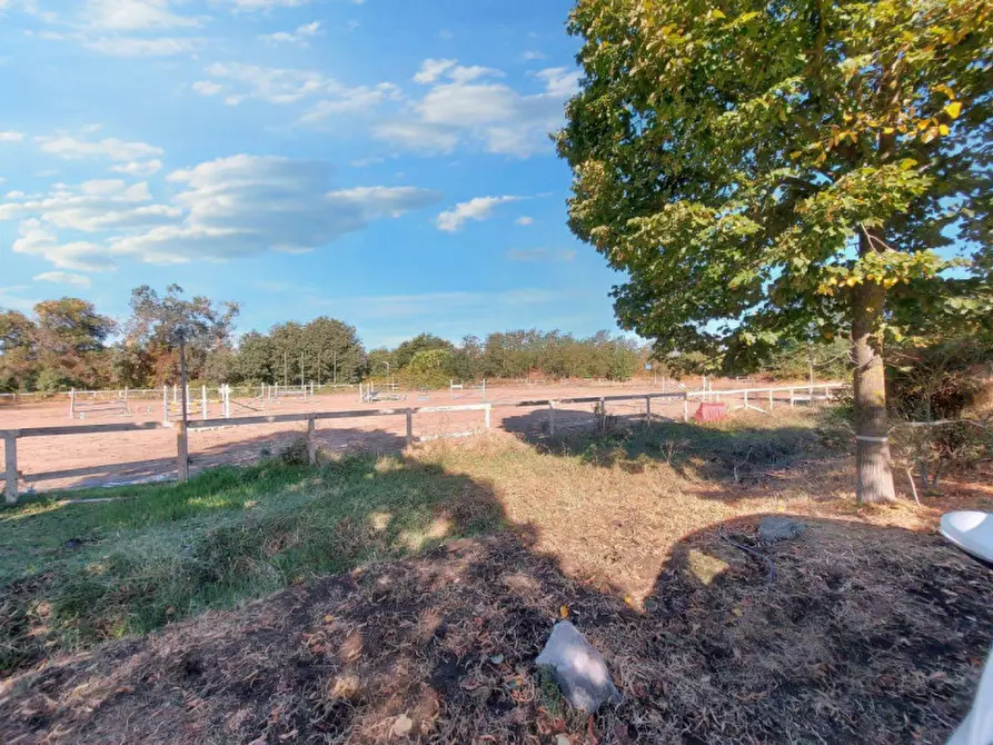 Immagine 5 di Agriturismo in vendita  in Via della Marmotta, N. snc a Anguillara Sabazia