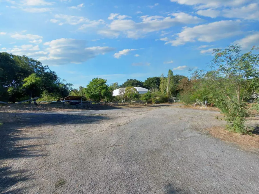 Immagine 6 di Agriturismo in vendita  in Via della Marmotta, N. snc a Anguillara Sabazia