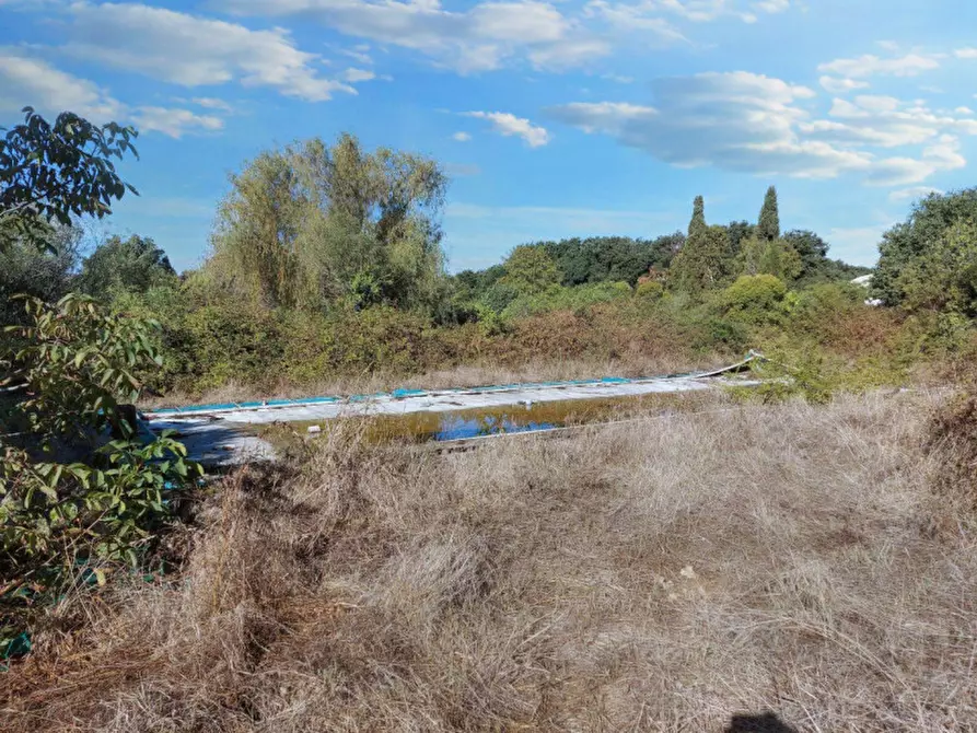 Immagine 7 di Agriturismo in vendita  in Via della Marmotta, N. snc a Anguillara Sabazia