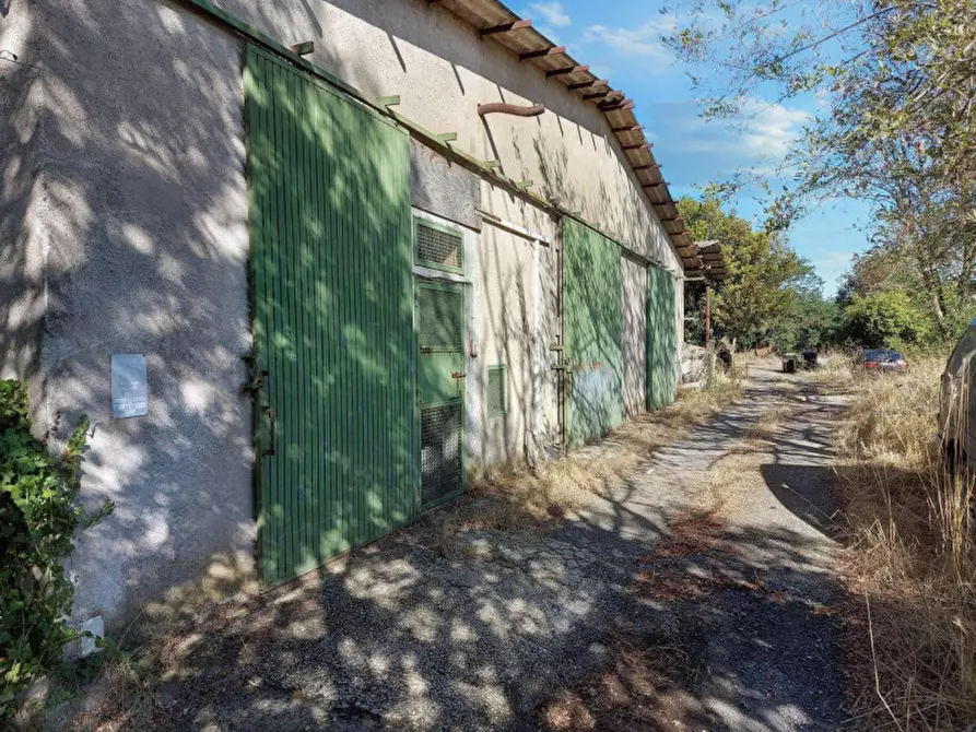 Immagine 9 di Agriturismo in vendita  in Via della Marmotta, N. snc a Anguillara Sabazia
