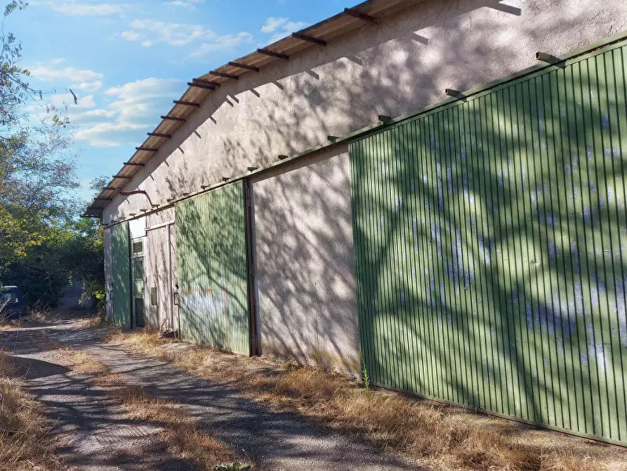 Immagine 10 di Agriturismo in vendita  in Via della Marmotta, N. snc a Anguillara Sabazia