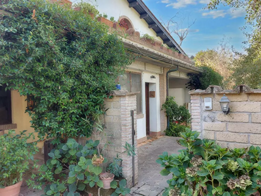 Immagine 11 di Agriturismo in vendita  in Via della Marmotta, N. snc a Anguillara Sabazia