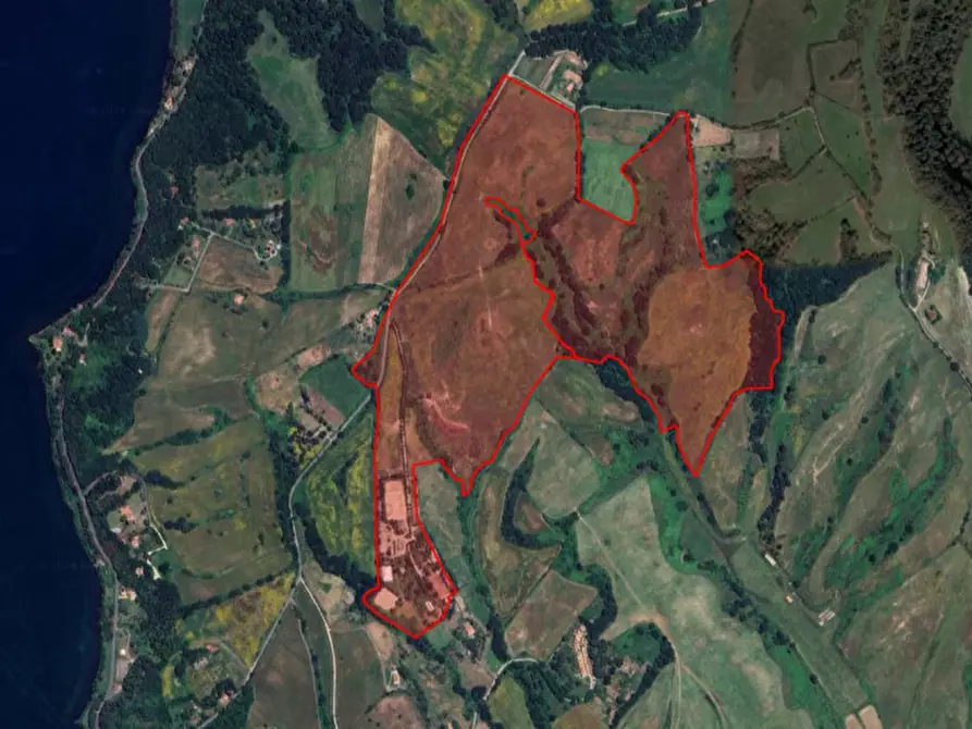 Immagine 29 di Agriturismo in vendita  in Via della Marmotta, N. snc a Anguillara Sabazia