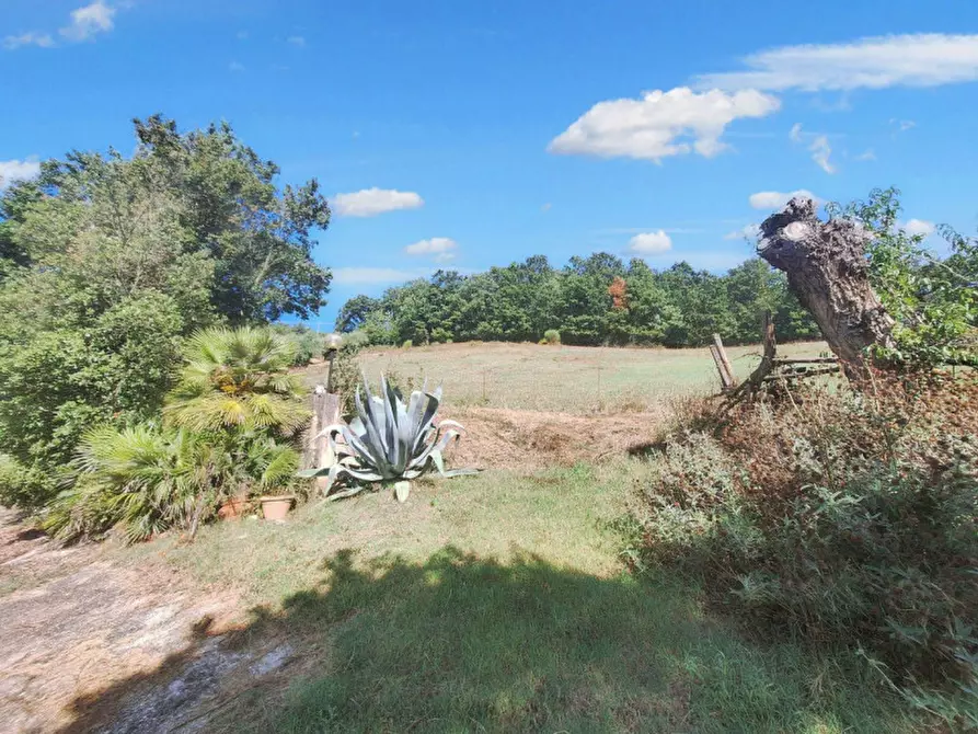 Immagine 5 di Appartamento in vendita  in Vocabolo Casemasce - SP380, N. snc a Todi