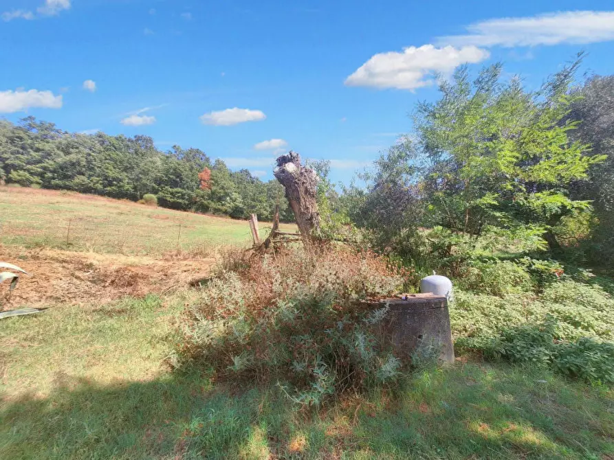 Immagine 6 di Appartamento in vendita  in Vocabolo Casemasce - SP380, N. snc a Todi