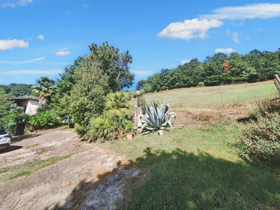 Immagine 7 di Appartamento in vendita  in Vocabolo Casemasce - SP380, N. snc a Todi