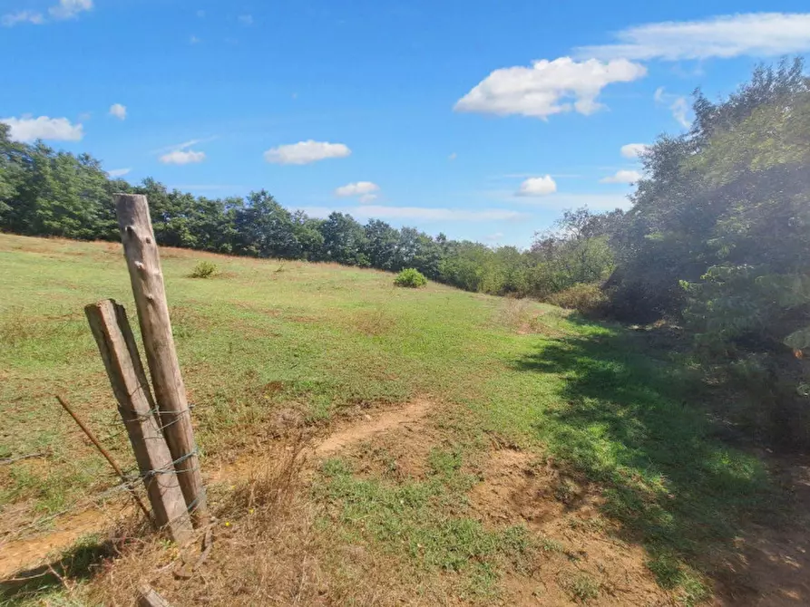 Immagine 8 di Appartamento in vendita  in Vocabolo Casemasce - SP380, N. snc a Todi