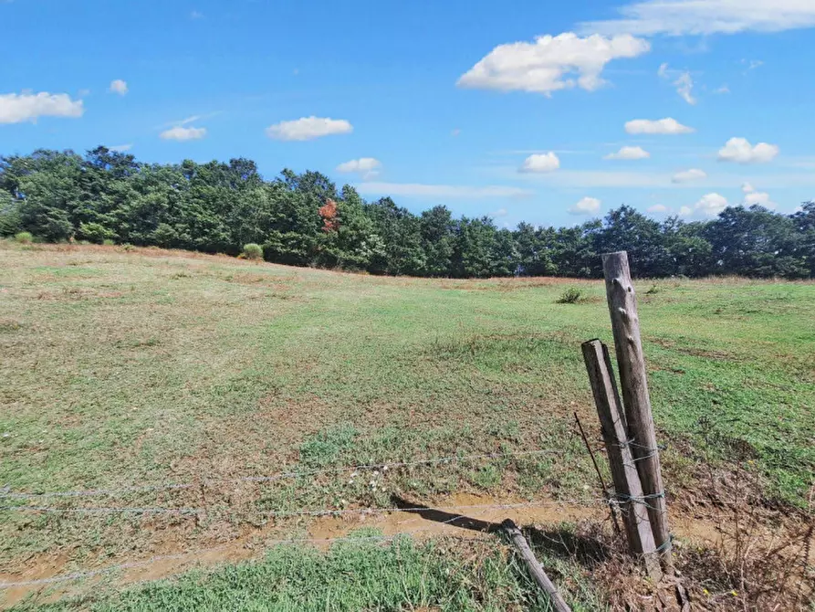 Immagine 9 di Appartamento in vendita  in Vocabolo Casemasce - SP380, N. snc a Todi