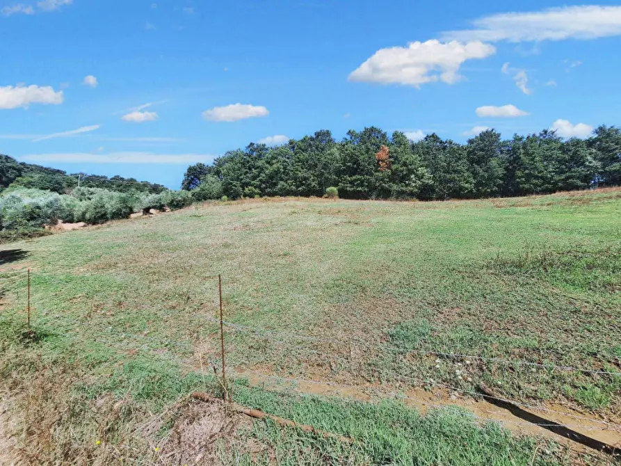 Immagine 10 di Appartamento in vendita  in Vocabolo Casemasce - SP380, N. snc a Todi