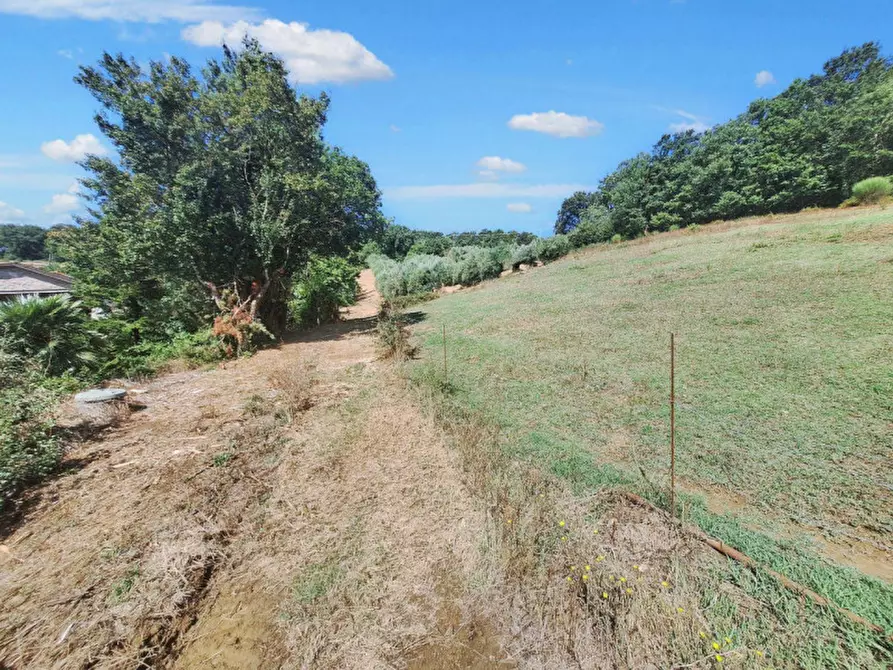 Immagine 11 di Appartamento in vendita  in Vocabolo Casemasce - SP380, N. snc a Todi