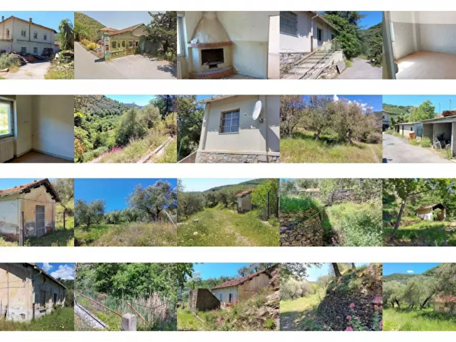 Immagine 2 di Terreno in vendita  in Strada Provinciale 45, N. snc a Pietrabruna