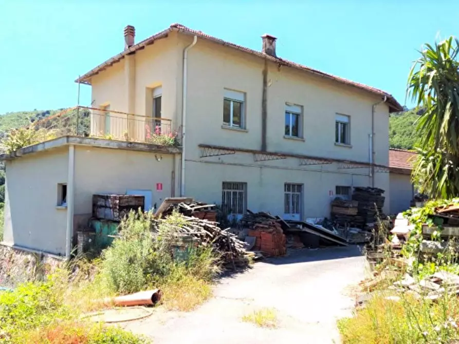 Immagine 3 di Terreno in vendita  in Strada Provinciale 45, N. snc a Pietrabruna