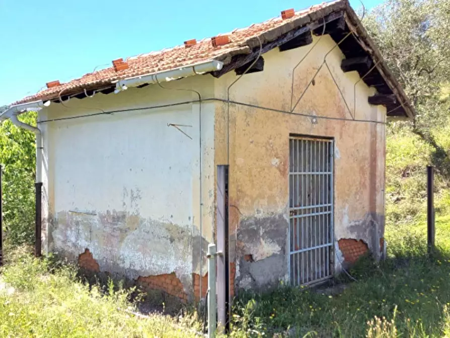 Immagine 7 di Terreno in vendita  in Strada Provinciale 45, N. snc a Pietrabruna