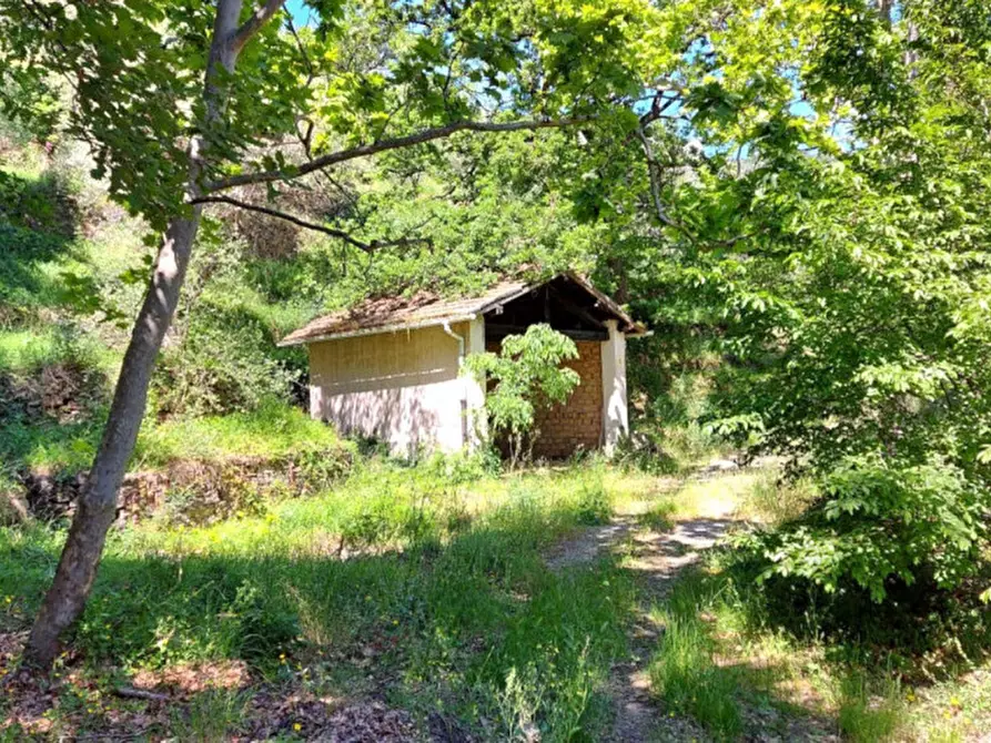 Immagine 8 di Terreno in vendita  in Strada Provinciale 45, N. snc a Pietrabruna