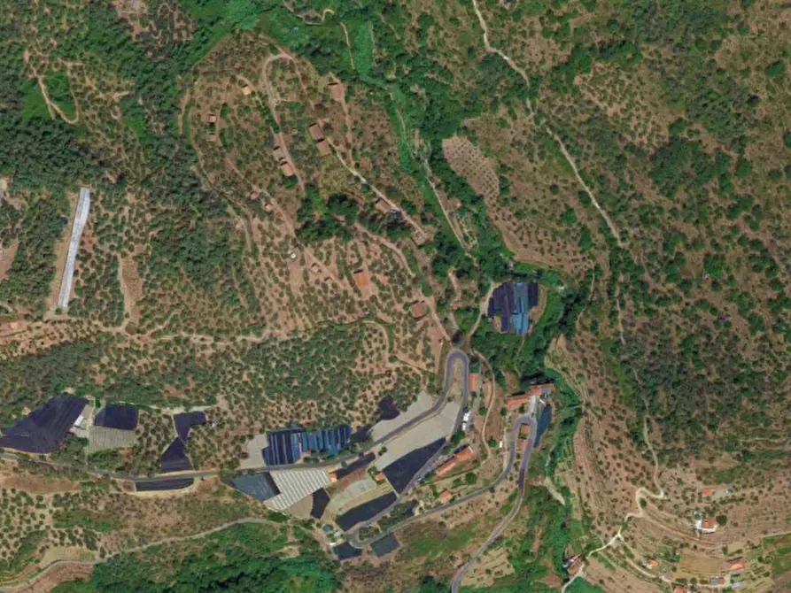 Immagine 17 di Terreno in vendita  in Strada Provinciale 45, N. snc a Pietrabruna