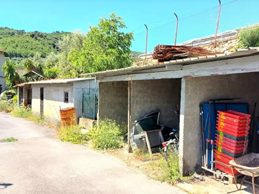 Immagine 5 di Terreno in vendita  in Strada Provinciale 45, N. snc a Pietrabruna