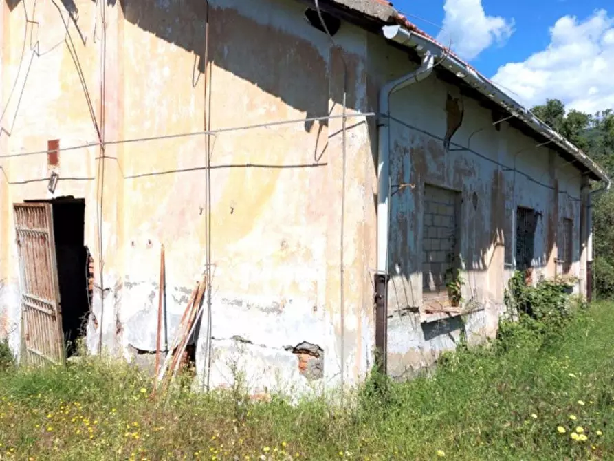 Immagine 9 di Terreno in vendita  in Strada Provinciale 45, N. snc a Pietrabruna