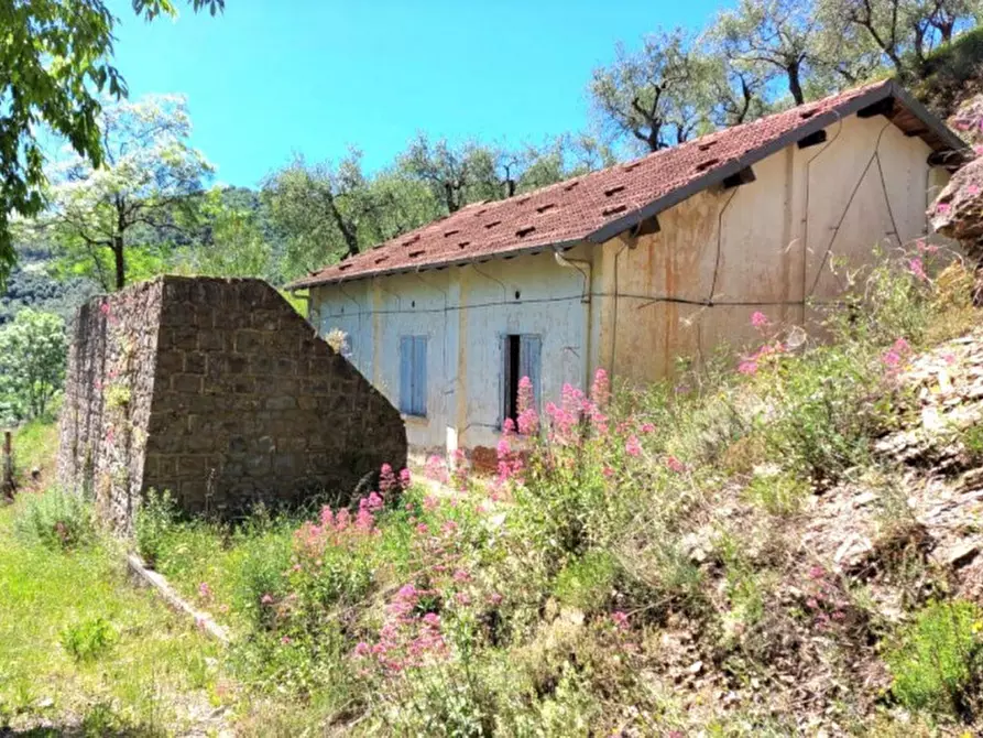 Immagine 10 di Terreno in vendita  in Strada Provinciale 45, N. snc a Pietrabruna