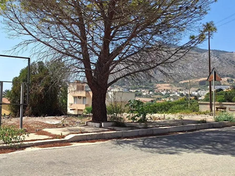 Immagine 2 di Terreno in vendita  in Strada Provinciale 34, N. snc a Valderice