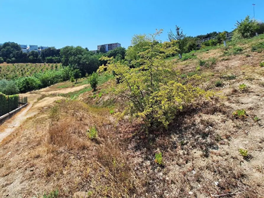 Immagine 4 di Terreno in vendita  in Via Ugo Betti, N. Snc a Ancona