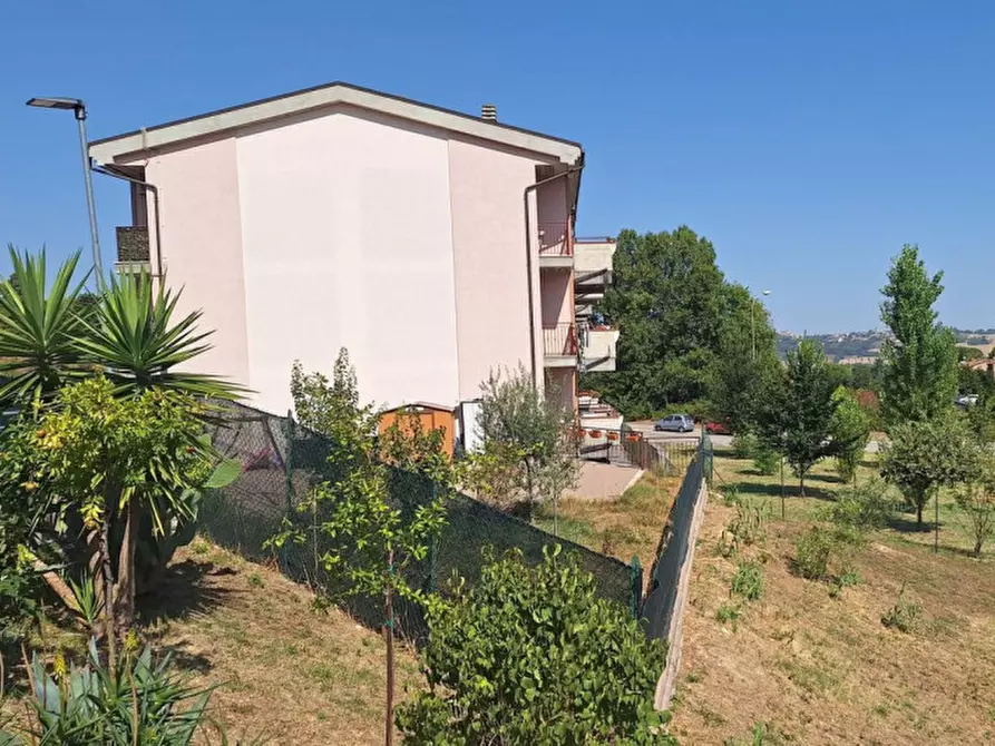 Immagine 3 di Cantina in vendita  in Via Antonio da Montolmo, N. Snc a Corridonia