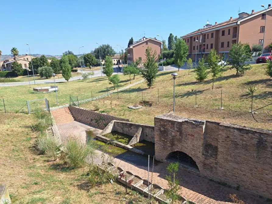 Immagine 5 di Cantina in vendita  in Via Antonio da Montolmo, N. Snc a Corridonia