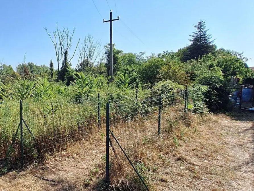 Immagine 1 di Terreno in vendita  in Via Passo del Bidollo snc, N. Snc a Corridonia