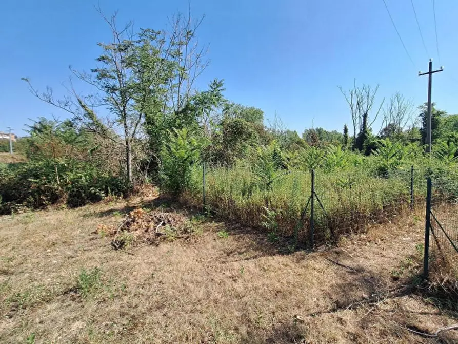 Immagine 3 di Terreno in vendita  in Via Passo del Bidollo snc, N. Snc a Corridonia