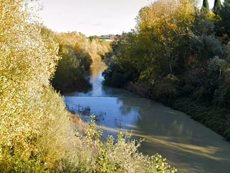 Immagine 5 di Terreno in vendita  in Via Passo del Bidollo snc, N. Snc a Corridonia