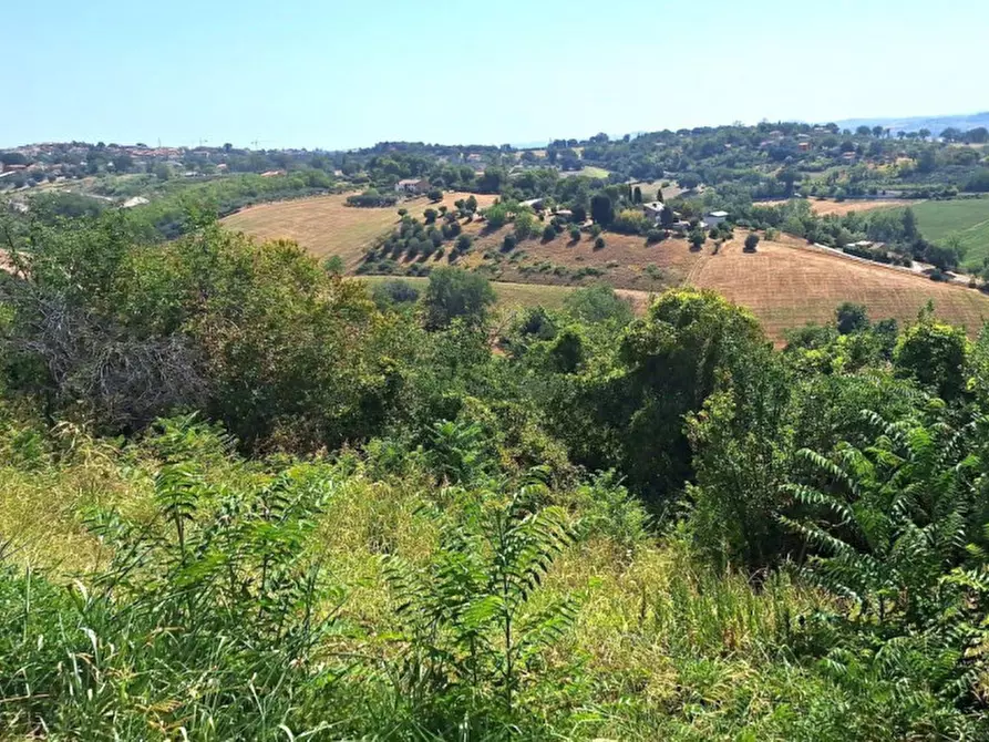 Immagine 2 di Terreno in vendita  in Via Corneto, N. Snc a Macerata