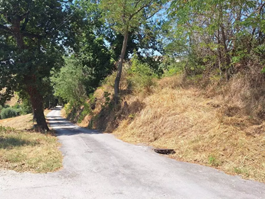 Immagine 3 di Terreno in vendita  in Via Corneto, N. Snc a Macerata