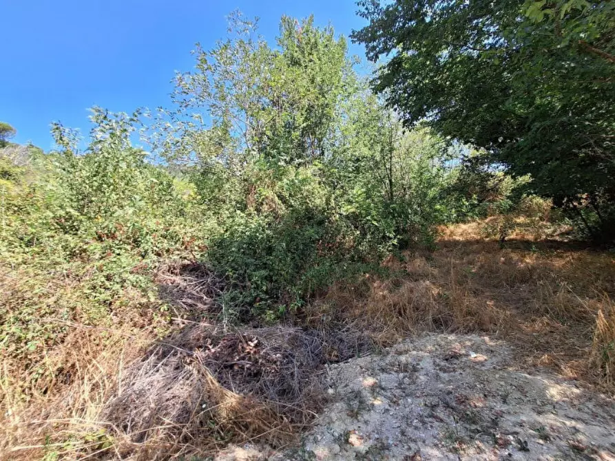 Immagine 4 di Terreno in vendita  in Via Corneto, N. Snc a Macerata