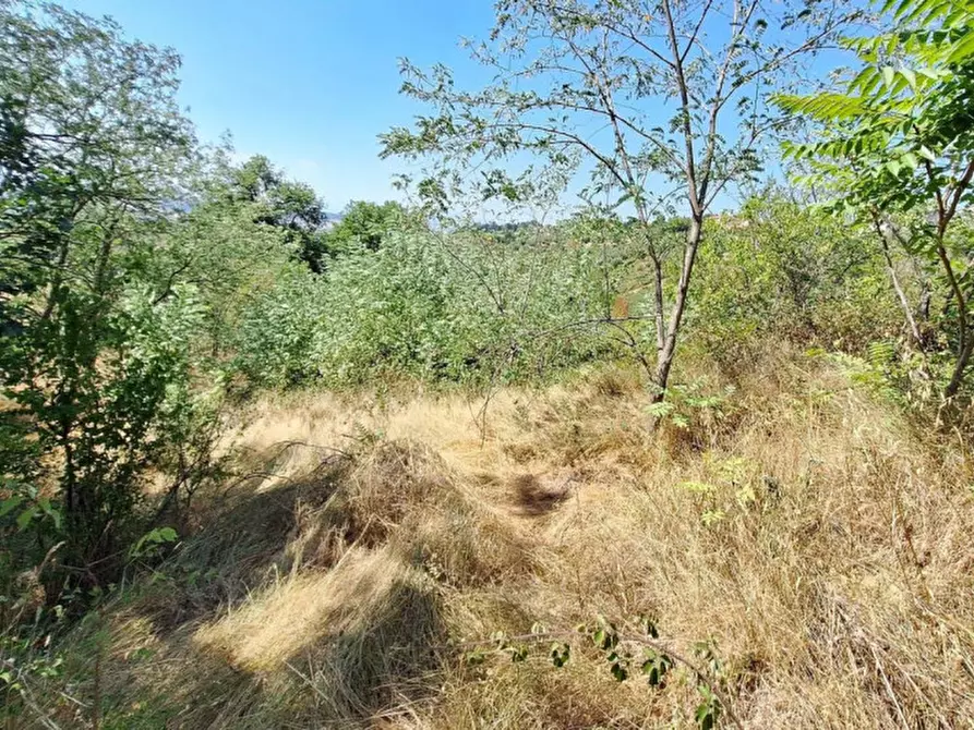 Immagine 5 di Terreno in vendita  in Via Corneto, N. Snc a Macerata