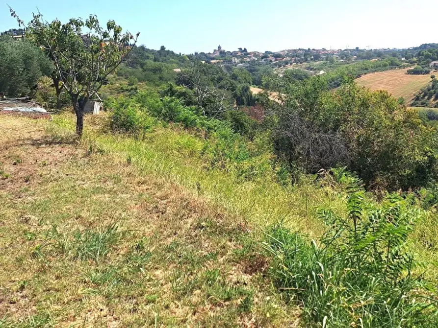 Immagine 6 di Terreno in vendita  in Via Corneto, N. Snc a Macerata