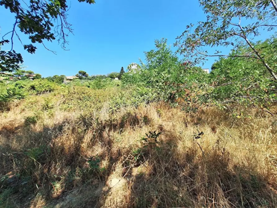 Immagine 7 di Terreno in vendita  in Via Corneto, N. Snc a Macerata