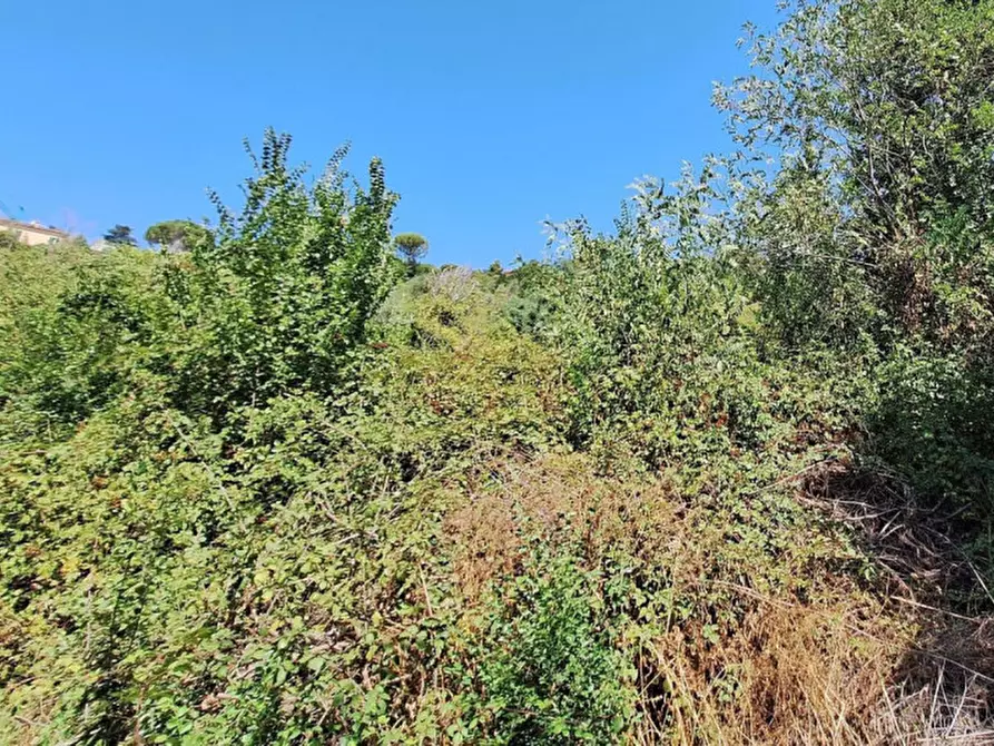 Immagine 9 di Terreno in vendita  in Via Corneto, N. Snc a Macerata