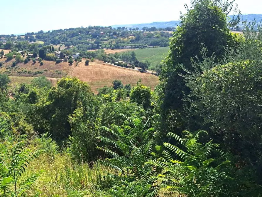 Immagine 10 di Terreno in vendita  in Via Corneto, N. Snc a Macerata